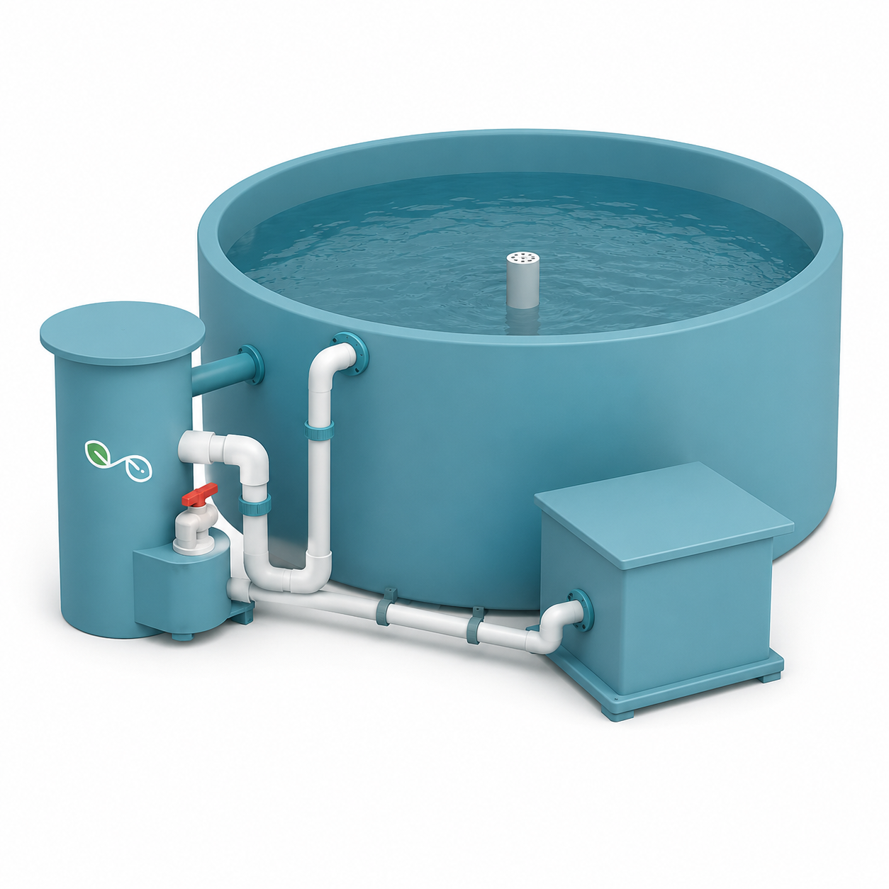 Tilapia